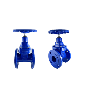 VALVULA COMPUERTA CIERRE ELASTICO BRIDA FUNDIDO